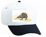 White Cap with wild, australis, apteryx, bird, life, kiwi, ratite, flightless, birds