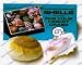 Packaged Shell - Large - Assorted