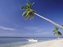 Alona Beach, Panglao Island, off Coast of Bohol, Philippines, Southeast Asia Photographic Poster Print by Robert Francis, 24x18