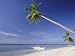Alona Beach, Panglao Island, off Coast of Bohol, Philippines, Southeast Asia Photographic Poster Print by Robert Francis, 16x12
