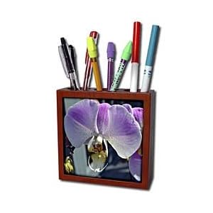 WhiteOak Photography Floral Prints - Pink Phalaenopsis Pink n Purple Orchids - Tile Pen Holders-5 inch tile pen holder