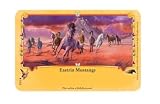 Eastrin Mustangs Promo Card