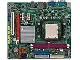 GF8100VM-M5 (V1.0) - Mainboard - Mikro-ATX