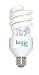 Ionic Bulb Air Purifier