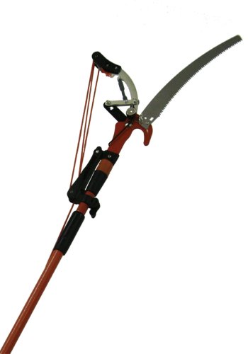 pole pruning saw