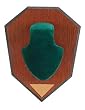 Antler Mounting Kit Antler Mt Kit w/Green Skull Cover