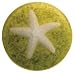 Inner Ocean Natural Seaweed Soap Starfish