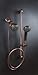 Mariner 2 Combination Shower Head System,Oil Rubbed Bronze