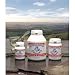 Lesen Sie Dorwest Scullcap und Baldrian-Tabletten (Grö�e: 200 Tabletten), einen Artikel Details Dorwest Scullcap und Baldrian-Tabletten (Grö�e: 200 Tabletten), einen Artikel