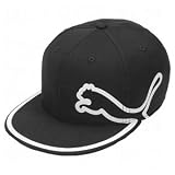 Puma Monoline Fitted Caps
