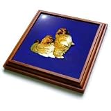 Dogs Pekingese - Pekingese - Trivets
