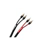 Monster Z2R ML-15/15 Reference Audiophile Speaker Cable with Monster Lock Master Pin, 1 Pair (15 ft.)
