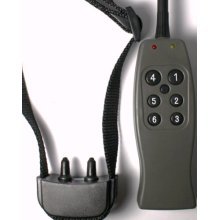 Remote Dog