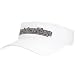 Backstreet Boys - Logo - Visor