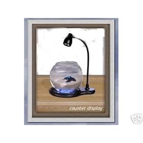 Night Glow Betta Bowl by PRO CLEAR AQUATIC SYSTEMS
