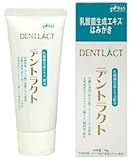 デントラクト 70g 耐震