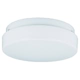 Buy Sea Gull Lighting 7926BLE-15 2-Light Fluorescent Ceiling Fixture, Acrylic White... by Sea Gull Lighting