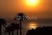 Wallmonkeys Peel and Stick Wall Decals - Italian Sunset with Palms - Removable Graphic