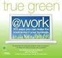 True Green at Work: 100 Ways You Can Make the Environment Your Business (True Green (National Geographic))