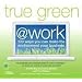 True Green at Work: 100 Ways You Can Make the Environment Your Business (True Green (National Geographic))