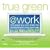 True Green at Work: 100 Ways You Can Make the Environment Your Business (True Green (National Geographic))