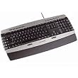 Cherry CyMotion Master Xpress Tastatur USB 104 Tasten MS W95 US Schwarz-silber
