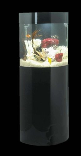 Semi Circle Aquarium