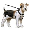 Sporn Medium Training Halter for Dogs (Neck sizes 12"-17") (Blue - Medium (Neck sizes 12"-17"))