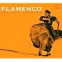Flamenco-Spanish Passion 2-C
