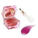 Estee Lauder Pure Color Lip Vinyl Gloss & Brush (Deluxe Sample)