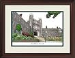Princeton University Alumnus Alumnus 14x18 Mahogany Framed Collegiate Lithograph