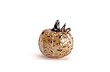 Mini Pumpkin