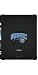 Orlando Magic – Logo Design on iPad XGear Blackout Case