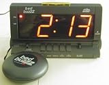 Search : Bed Buzzz