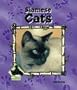 Siamese Cats (Animal Kingdom)