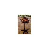 George Foreman Round Indoor/Outdoor Grill