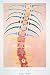 Med/ART creates and publishes interpretative anatomical fine art posters for the medical field. These prints are original oil-on-canvas paintings that have been reproduced in fine colorful detail on museum grade paper. A distinctive and attractive addition to any reception area or office, they promote a positive feeling of good health. This poster measures 22" x 28".