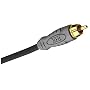 Monster Cable THX V100 R-8 Composite Video Cable