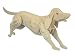 Dog - Woodcraft Construction Kit