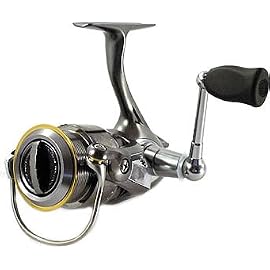 ダイワ(Daiwa) カルディアKIX 2506(浅溝タイプ) 00055418