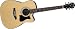 Ibanez V Series V70CENT Acoustic Guitar - Natural