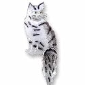 Clearly Charming Maine Coon Sterling Silver and Enamel Pin