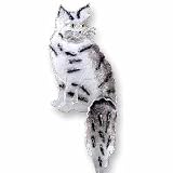 Clearly Charming Maine Coon Sterling Silver and Enamel Pin