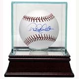 Glass Baseball Display Case