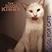 Cool for Cats von the Fantastic Boogaloo Kings - alle Infos