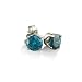 14 Karat White Gold Blue Diamond Stud Earrings 1 ct tw