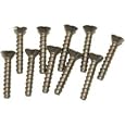 Hayward SPX1030Z1C 1-1/4-Inch Screw Replacement Set for Select Hayward Automatic Skimmers