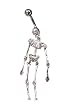 Skeleton Bones Skull Bone Barbell Body Jewelry Piercing