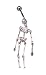 Skeleton Bones Skull Bone Barbell Body Jewelry Piercing