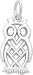 Owl Charm by Rembrandt Charms